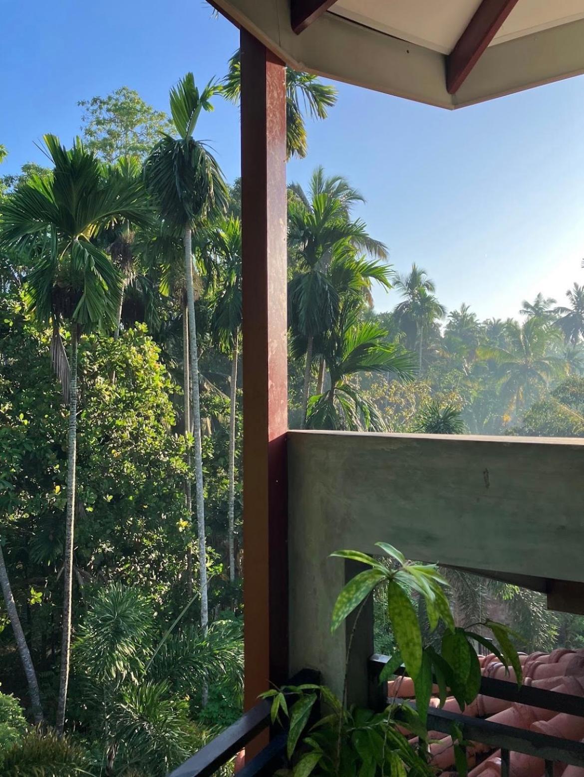 Tropical Vibes - Kathaluwa Leilighet Ahangama Eksteriør bilde